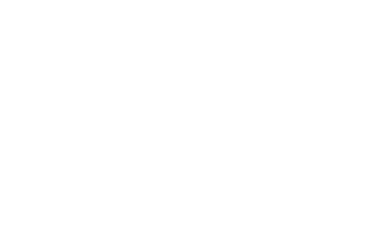 TradeLikeMike logo
